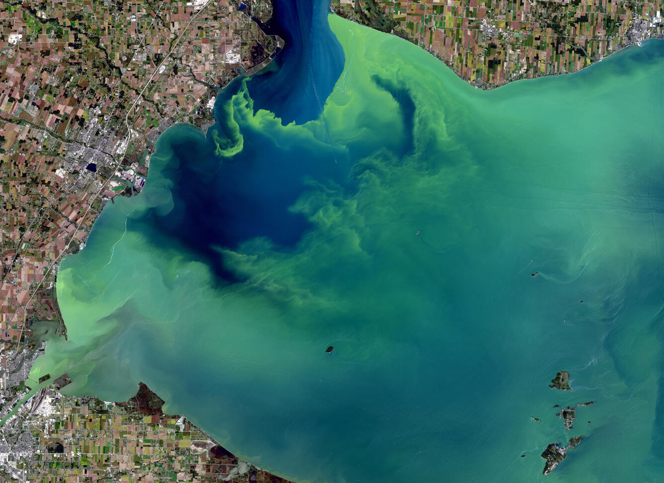Aquatic Sustainability